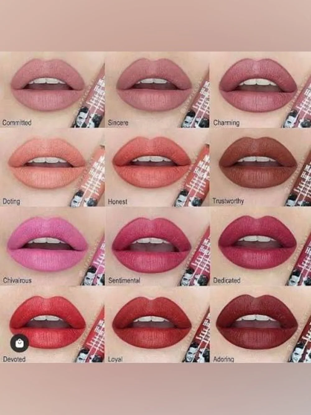 theBalm Meet Matte Hughes Liquid Lipstick in Dedicated